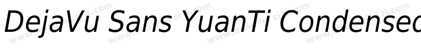 DejaVu Sans YuanTi Condensed Italic字体转换